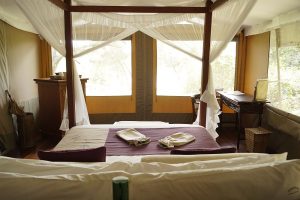 Safari-Zelt im Mara Intrepids mit Himmelbett, Moskitonetz und offenem Blick ins Grüne.