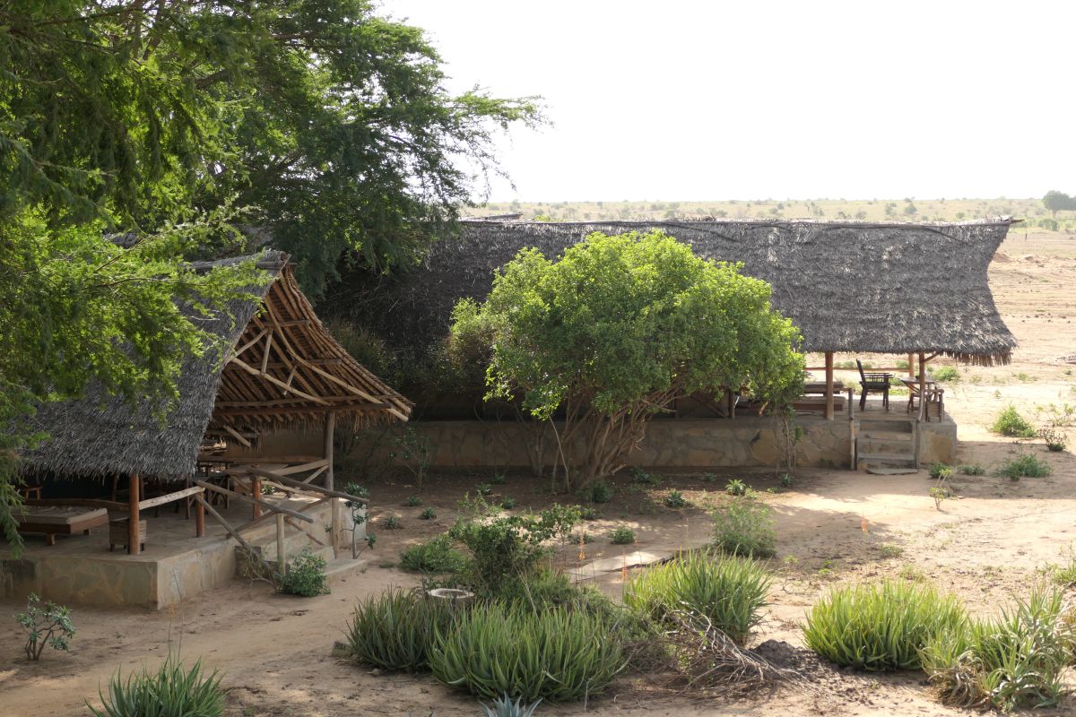 Außenbereich des Satao Camp mit strohgedeckten Gebäuden, Pflanzen und natürlicher Safari-Landschaft.