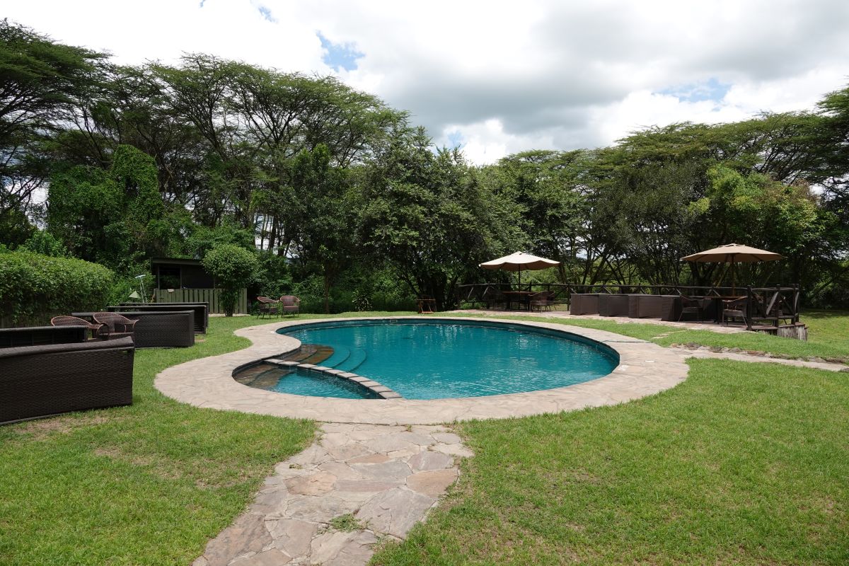 Außenpool im Tipilikwani Mara Camp mit Liegebereich inmitten der grünen Landschaft der Masai Mara.
