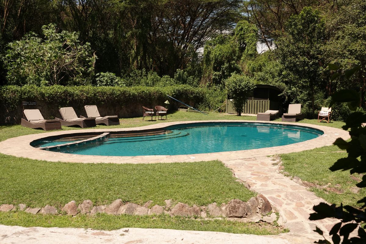 Swimmingpool im Tipilikwani Mara Camp mit Liegestühlen und grüner Gartenlandschaft.
