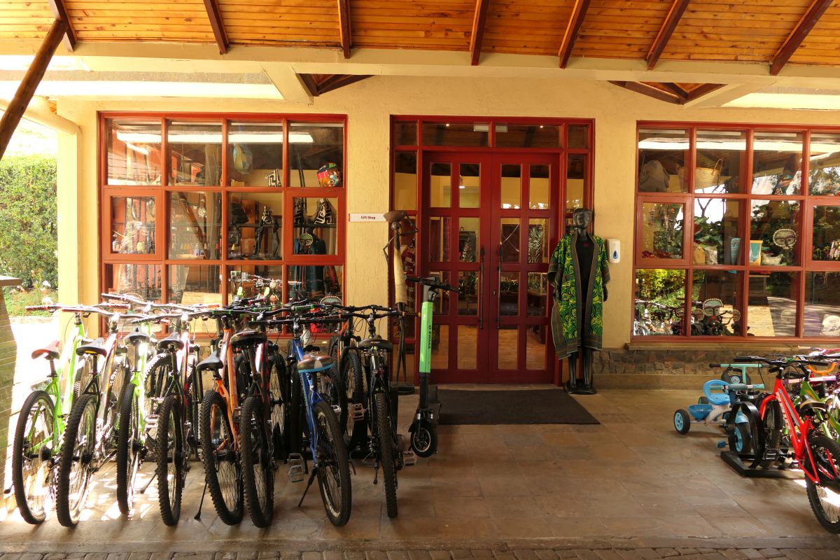 Shop mit Fahrraedern