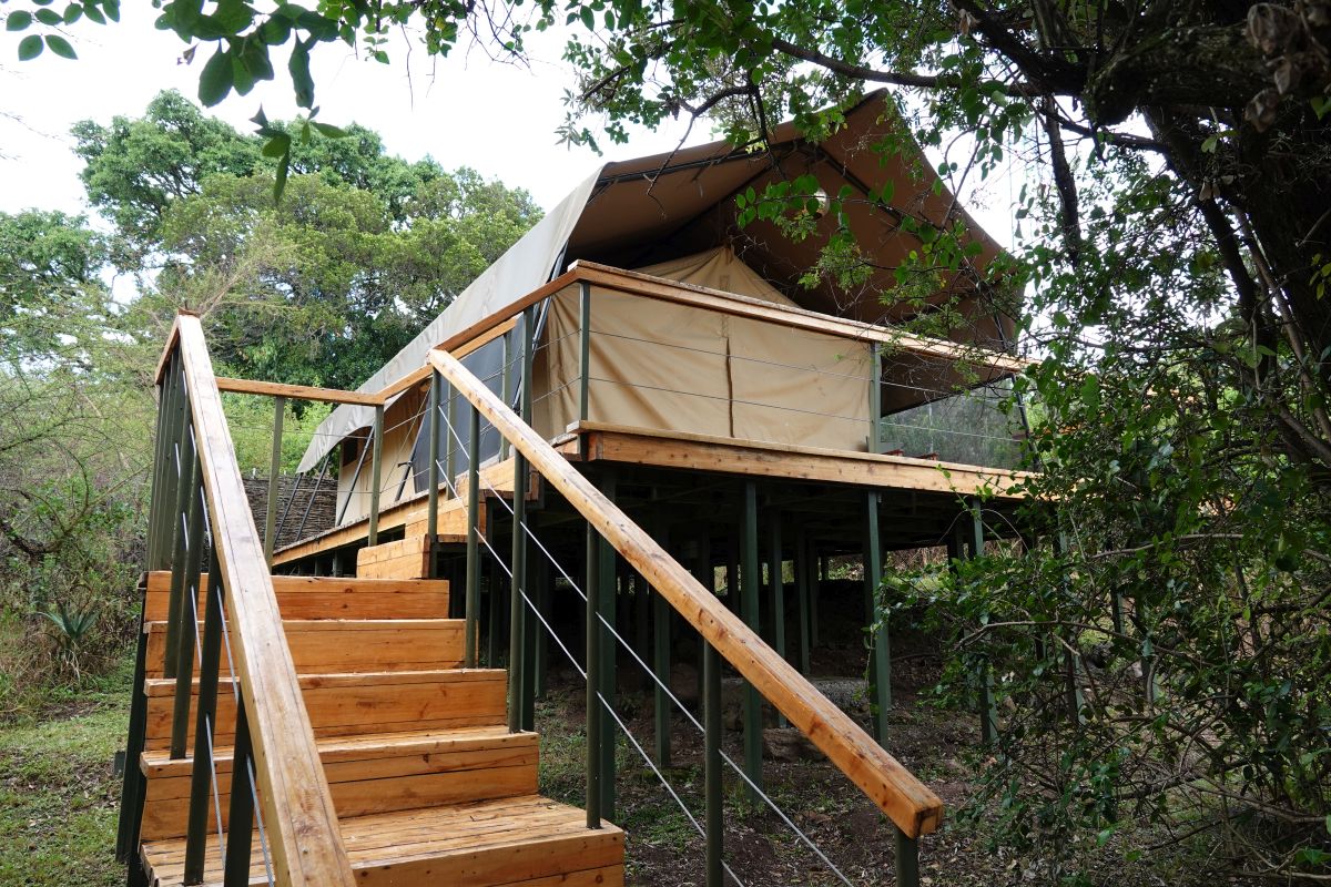 Erhöhtes Safari-Zelt im Elatia Mara Camp mit Holztreppe und eingebettet in die grüne Natur.