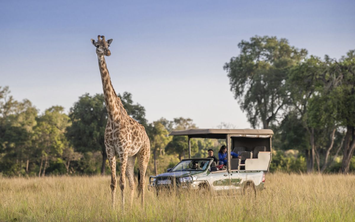 Giraffe neben einem Safari-Fahrzeug während einer Pirschfahrt in der Masai Mara..