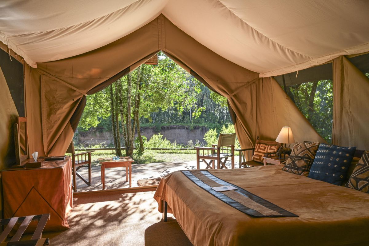 Offenes Safari-Zelt im Governors Camp mit gemütlichem Bett und Blick in die grüne Natur.