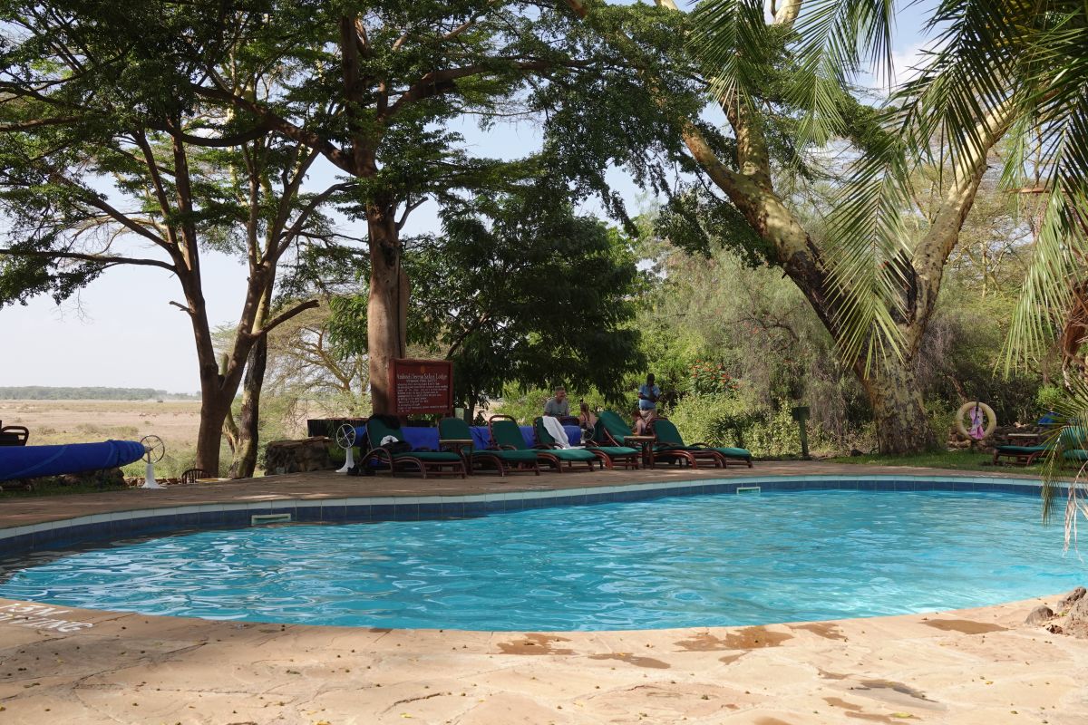 Poolbereich der Amboseli Serena Lodge mit Sonnenliegen, schattigen Bäumen und Blick in die Natur.