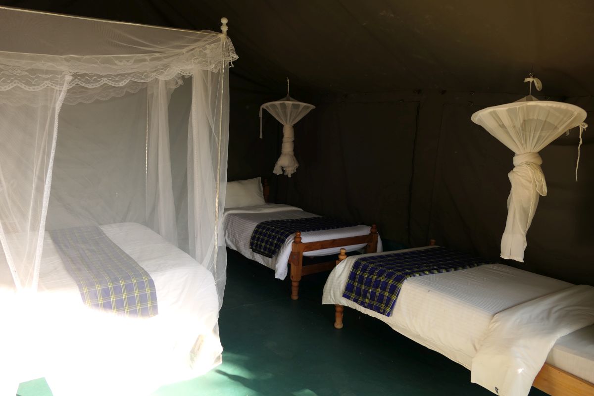 Blick ins Zeltinnere mit einem Doppelbett und zwei einzelnen Betten mit Moskitonetzen