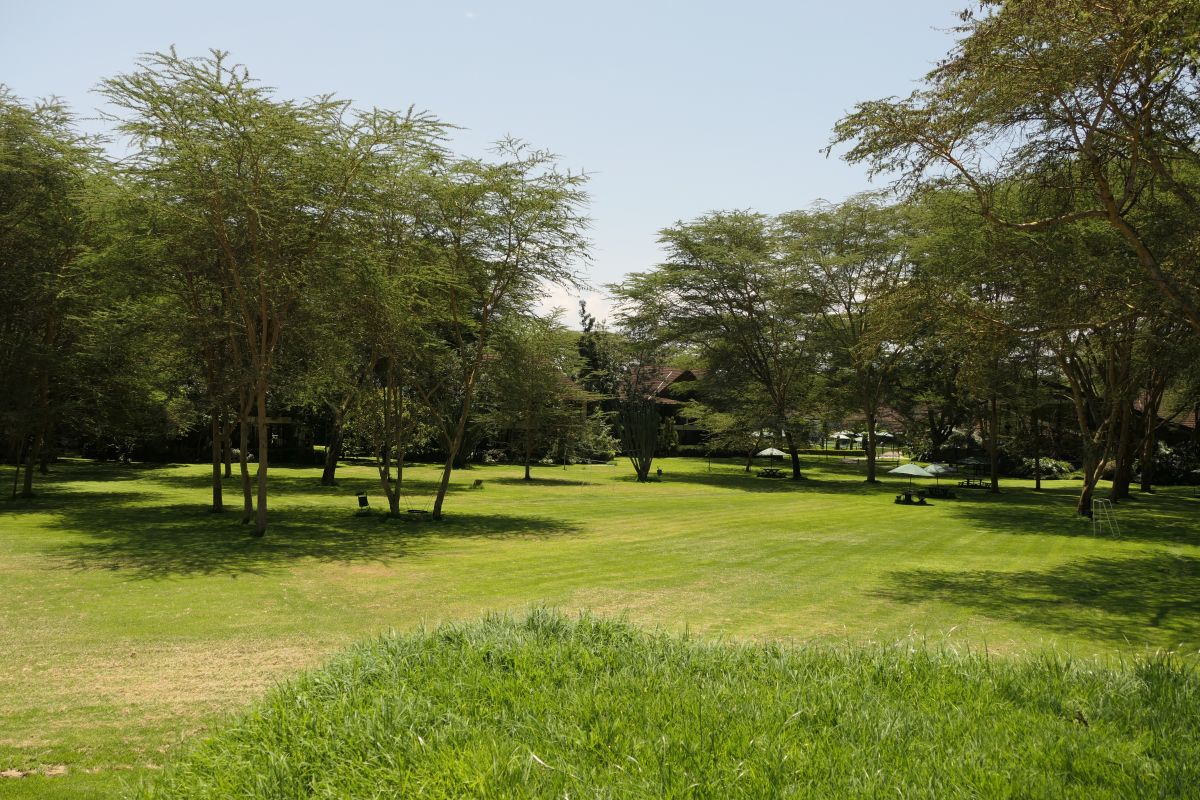 Weitläufige, gepflegte Gartenanlage der Sawela Lodge mit offenen Rasenflächen, schattenspendenden Bäumen und üppiger Vegetation in ruhiger Umgebung.