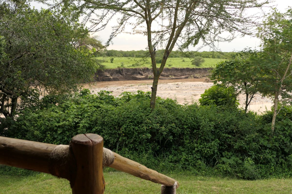 Blick von der Veranda zum Talek River mit Buschwerk