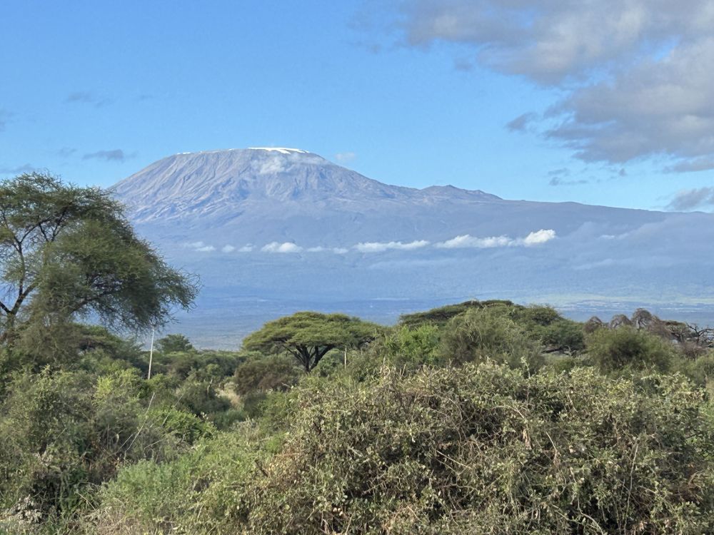 Blick auf den Kilimanjaro mit toller Landschaft im Vordergrund