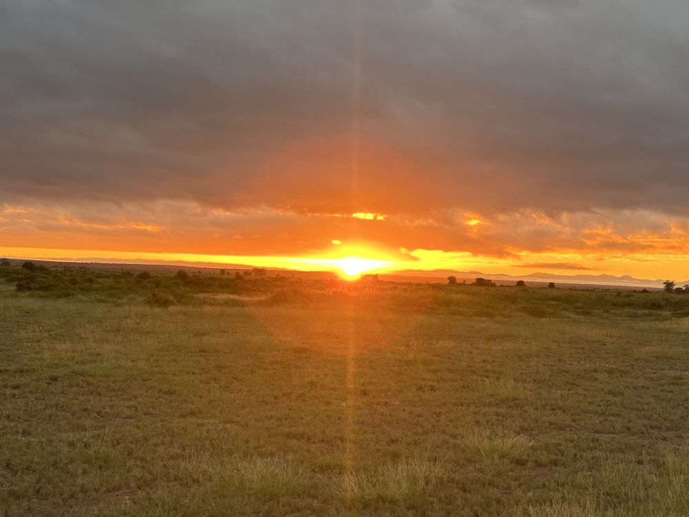 Sonnenuntergang im Nationalpark Kenias mit tollen Orangetönen
