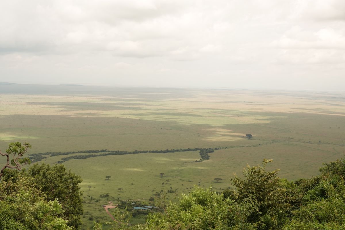 Panoramaaussicht auf die Masai Mara