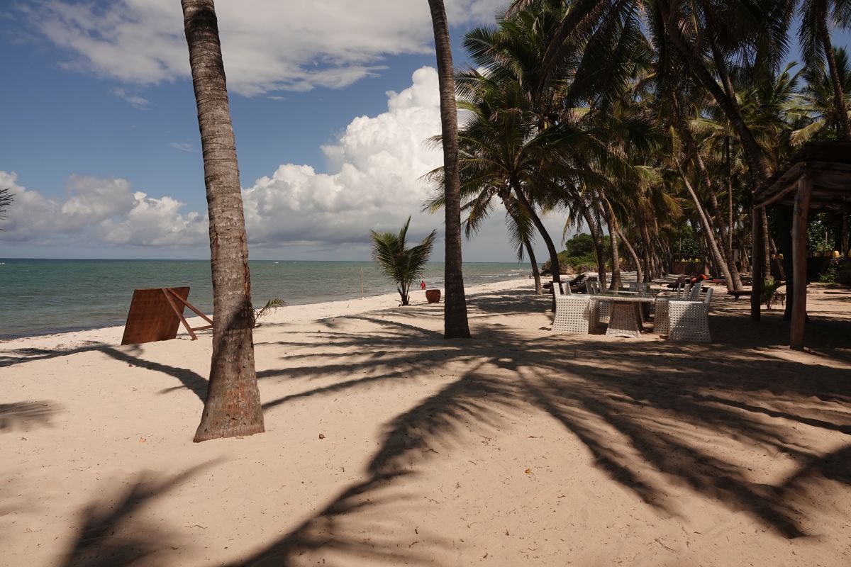 Strand in Kenia mit Palmen und Sitzgelegenheit